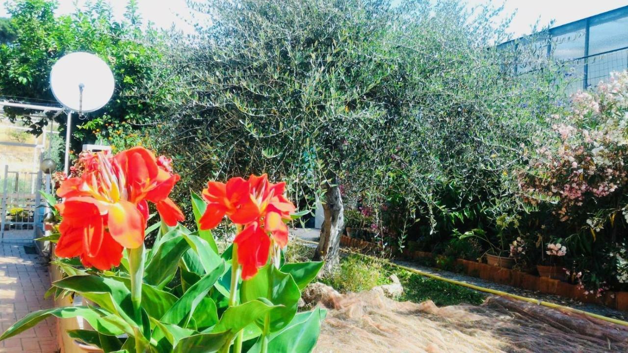 Villa Anna Regione Bussi 57 Imperia Extérieur photo
